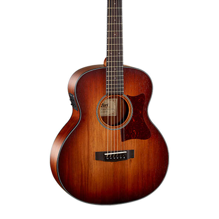 Cort Little CJ Blackwood Acoustic Guitar